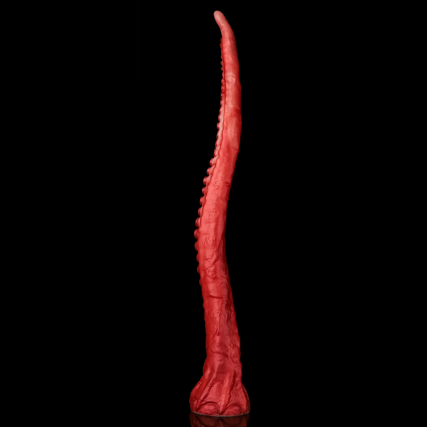 ALLA - Image 6