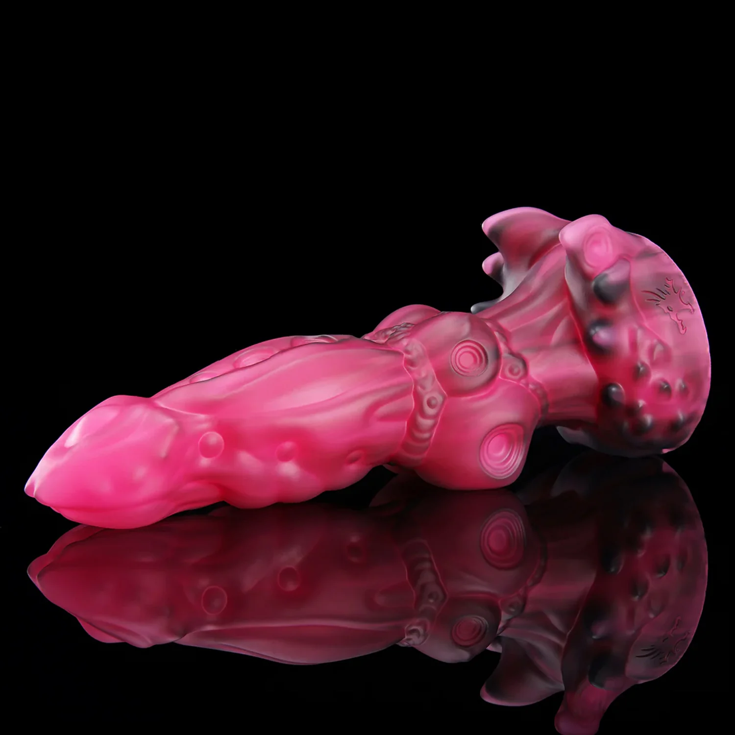 ANPU - Image 4