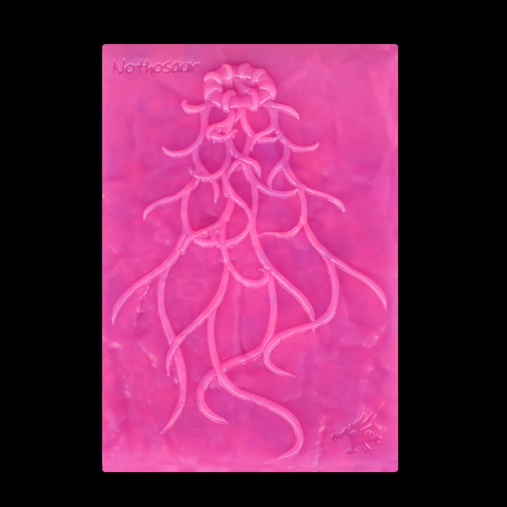 APHRO - Image 2