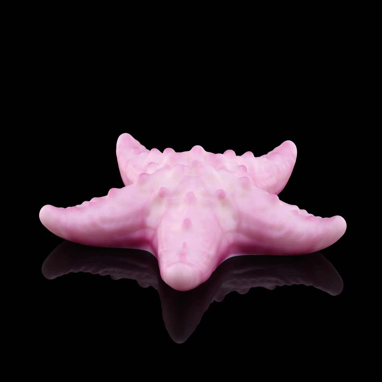 ASTERI - Image 6