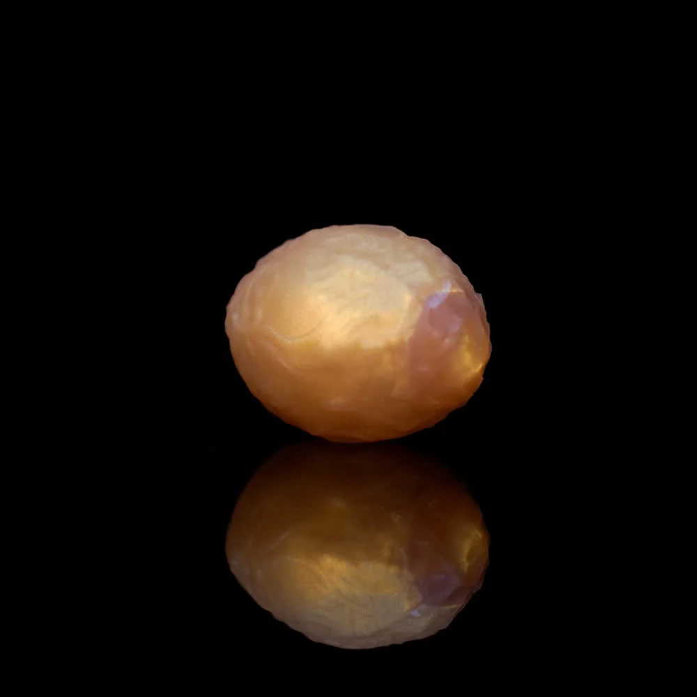 OGG - Image 6