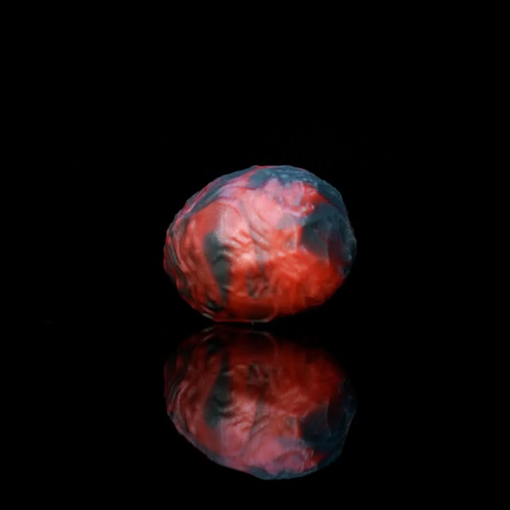 OGG - Image 9