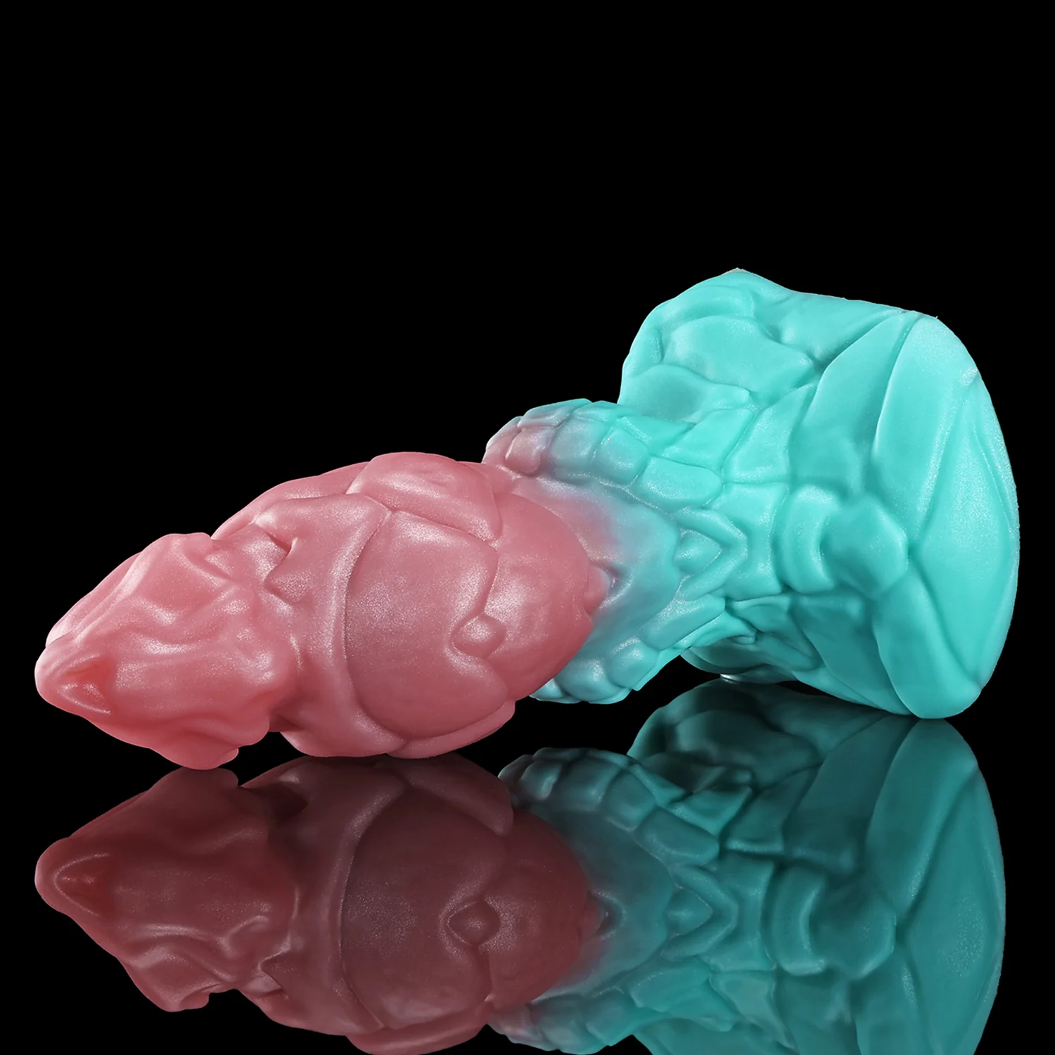 GRAVIOS - Image 5
