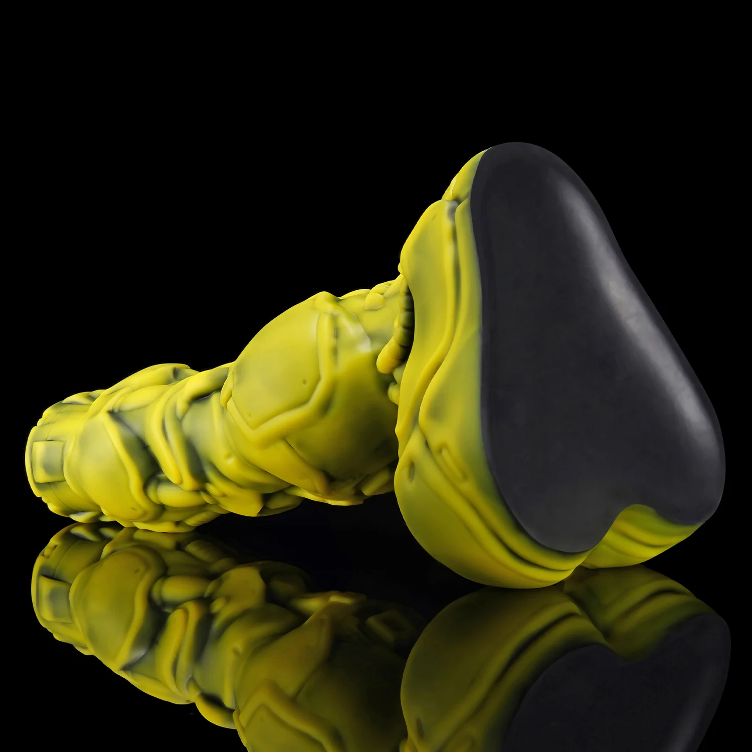 ROCCO - Image 5