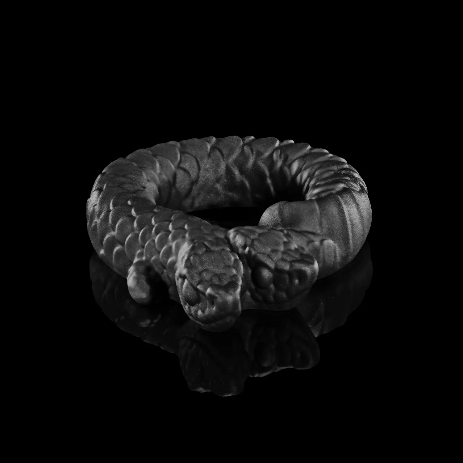 Twin's Ring - Image 9
